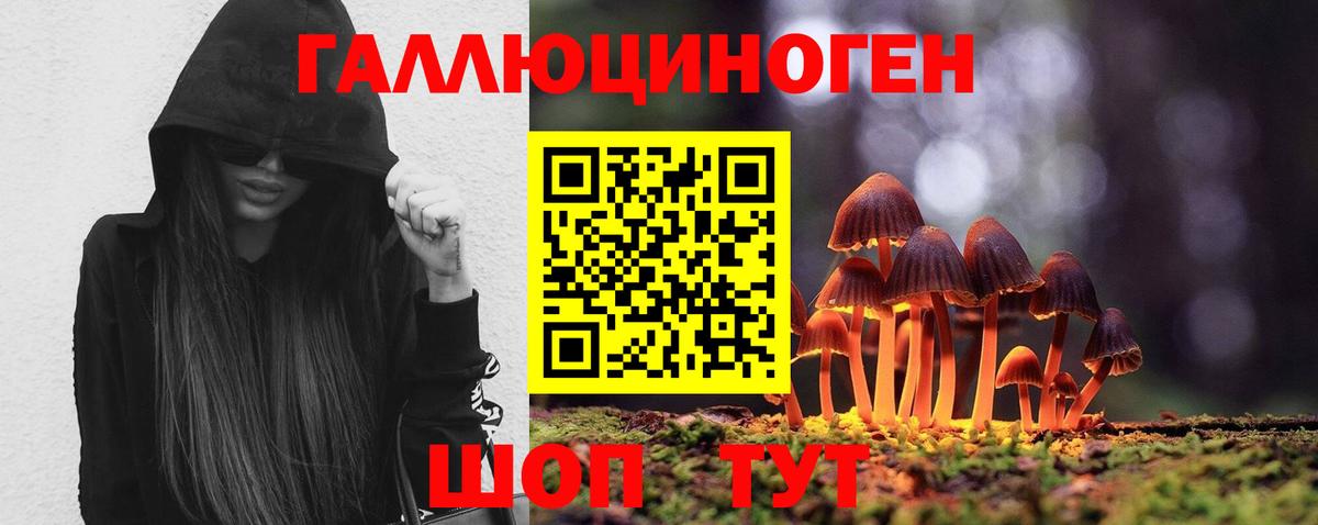 Псилоцибиновые грибы Psilocybine cubensis Хасавюрт